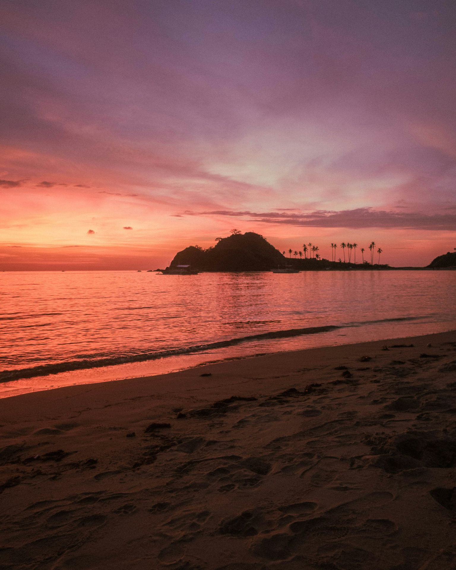silhouette of people on beach during sunset